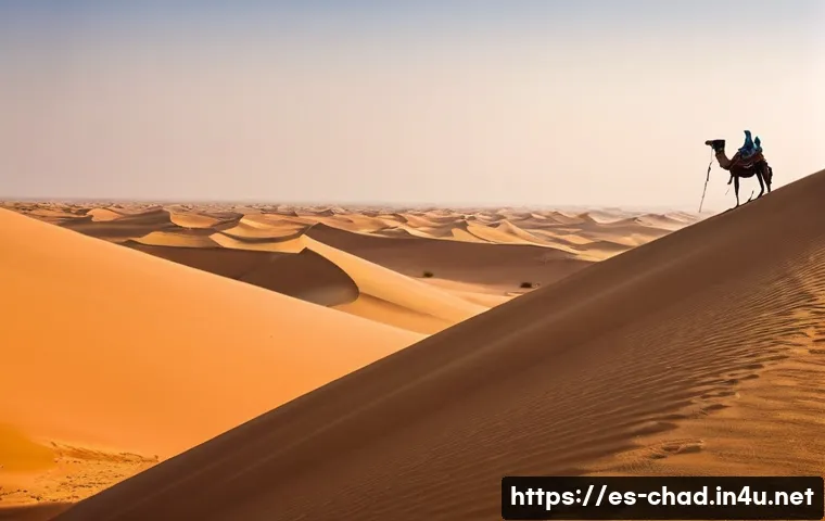 차드의 치안 상황 관련 이미지 1