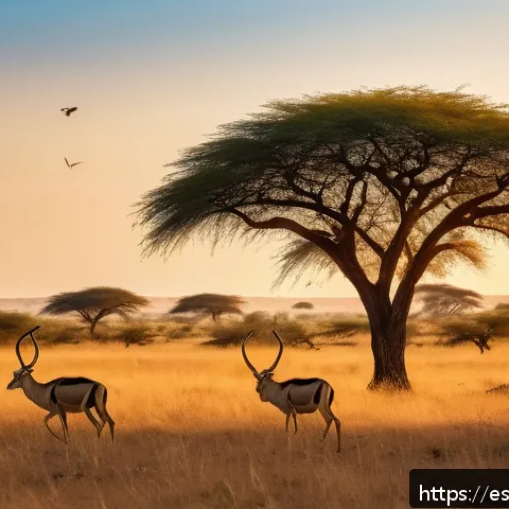 차드의 다양한 생태계 탐험 - A vibrant Chadian savanna landscape during golden hour, featuring sprawling dry tropical grasslands ...